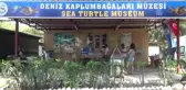 Ilk Çene Protezili Caretta Caretta Müzede Sergileniyor