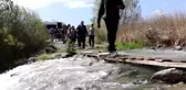 Dünya Göçmen Kuşlar Günü