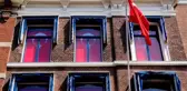 Hollanda'da İlginç Protesto! Kralın Sarayına Karşı Türk Bayrakları Astılar