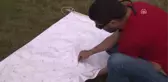 Kkka Vakaları Azalıyor