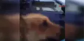 Bursa Balık Havuzunda Ölü Bulundu
