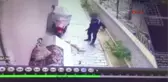 Denizli Köpek Hırsızlığı Güvenlik Kamerasında