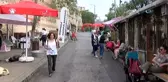 Hayvanseverler, Minik Dostlarıyla 