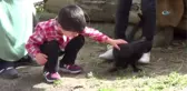 Mert Efe'nin Kedi Sevgisi Kaybolmasına Neden Oldu