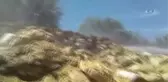 Saman Yığını Alev Aldı