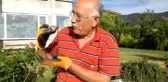 Yanlışlıkla Ezdiği Kaplumbağa İçin Çok Üzüldü Şimdi Bahçesinde 8 Kaplumbağa Besliyor