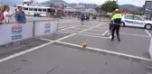 Marmaris Alkol Gözlüğü Ile Trafik Farkındalığı