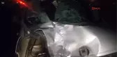Sakarya Üniversite Öğrencisi Yolun Karşısına Geçerken Öldü