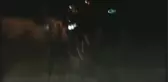 Mantar Toplamak İçin Çıktığı Dağda Mahsur Kalan Vatandaşı Afad Kurtardı