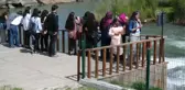 Inci Kefalinin Tatlı Sulara Göçü Başladı