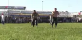Kavasoğlu ve Şamdancıbaşı Ibrahim Yağlı Güreşleri