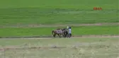 Van Iran Sınırında Atatürk Koşusu
