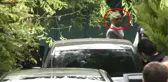 Yakalanan Mafya Babası Sedat Şahin'e Eşi Sayesinde Ulaşılmış