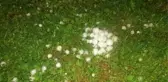 Erzincan'da Ceviz Büyüklüğünde Dolu Yağdı