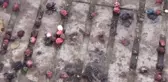 Beslenme ve Diyet Uzmanı Gizem Akgül, 