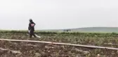 Diyarbakır Karpuzu Ağır Olacak