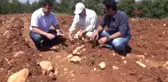 Antalya Dağdaki Kültür Bitkisini Ovaya Indirdik'