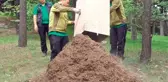 Çankaya Köşkü ve Başbakanlık'ta '12 Dişli Kabuk Böceği'ne Karşı 'Kırmızı Karıncalar' Nöbette