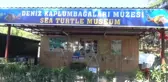 Deniz Kaplumbağaları Müzede Tanıtılıyor