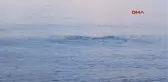 Antalya Ağa Dolanan Caretta Caretta Kurtarıldı