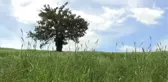Sanayi Kenti 