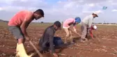 Tarım İşçileri Elektrikli Süpürge ve Fıçıdan Klima Yaptı