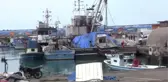 Balık Fiyatlarındaki Düşüş Devam Ediyor