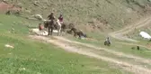 Berivan