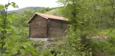 Asırlık 