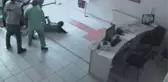 Kadın Doktora Makasla Saldırıp, Yerde Sürüklediler!