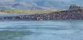 Elazığ'da Kayıp Şahıs Ölü Bulundu