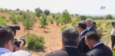 Vali Altıparmak, Dolunun Vurduğu Tarım Arazilerini İnceledi