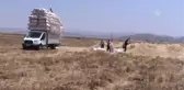 Saman Satışları Başladı