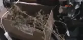 Denizli Evinde Uyuşturucu Düzeneği Bulunan Mühendis Tutuklandı