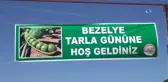 Diyarbakır'da İlk Kez Bezelye Üretildi