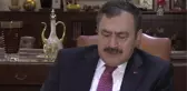 Orman ve Su Işleri Bakanı Eroğlu: 