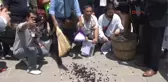 TBMM'de Zeytinli Protesto 1