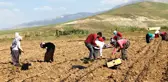 Kadın Işçilerin Ekmek Mücadelesi