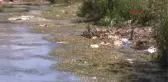 Van Su Kanalına Atılan Çöpler Van Gölü'nü Kirletiyor