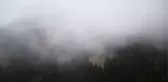 Yayla Turizminin Yeni Adresi: Tonya