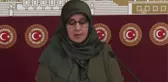 Hdp Istanbul Milletvekili Kaya Açıklaması