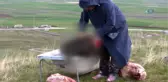 Profesörden Teröre, Öküzbaşlı ve Küvetli Tepki