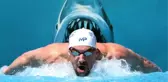 Dünyanın 1 Numaralı Yüzücüsü Phelps, Köpek Balığıyla Yarışacak