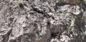 Kahramanmaraş Kayalıkta Mahsur Kalan 11 Keçi Kurtarıldı