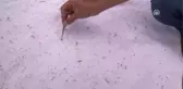 Kene Vücuttan Yağ Dökülerek Çıkarılmamalı