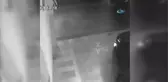 5 Bin Liraya Lüks Araç Satmaya Çalışırken Yakalandı...oto Galeriyi Tarama Anları Kamerada