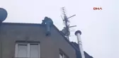 Samsun Ard Arda Ikinci Kez Intihar Girişiminde Bulundu