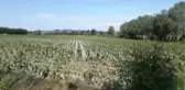 Tarım Arazileri Sular Altında Kaldı