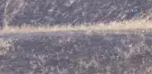 Çiftçiler Bile Bile Kendi Tarlalarına Zarar Veriyor