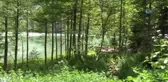 Fotoğraf İçin Gelinliği ile Göle Girdi